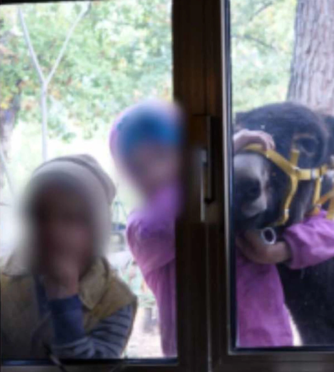 La casa nel bosco dove viveva la famiglia prima dell'intervento delle autorità