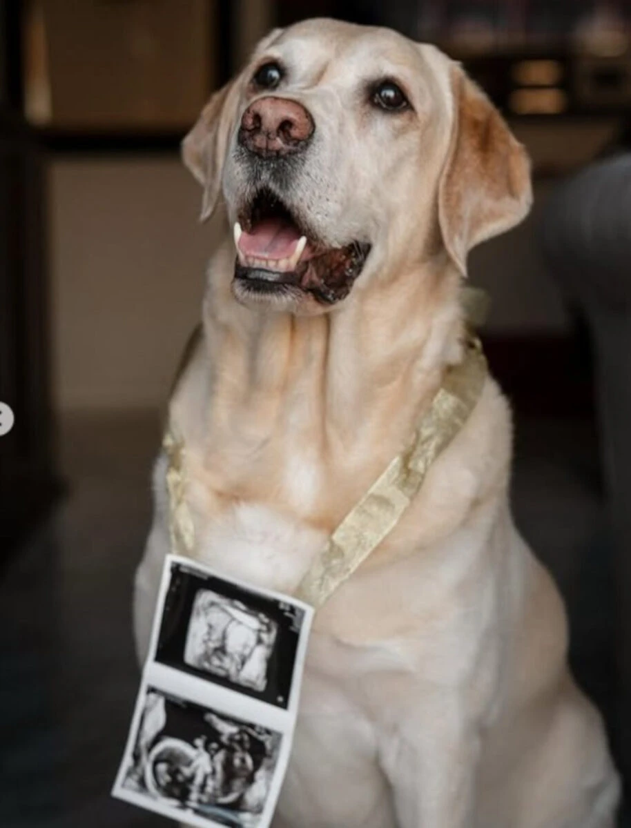 Briga e Arianna Montefiori abbracciati in uno scatto romantico
