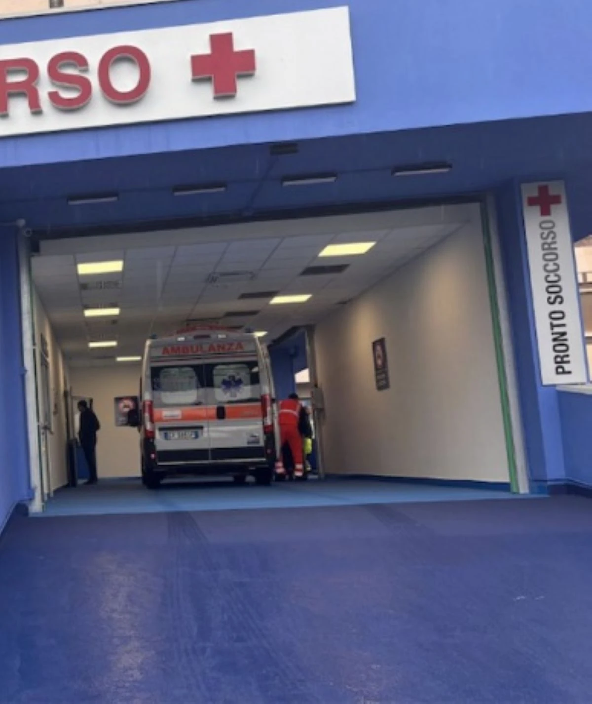 Equipe medica Messina ricostruisce cranio e occhio dopo incidente con capra