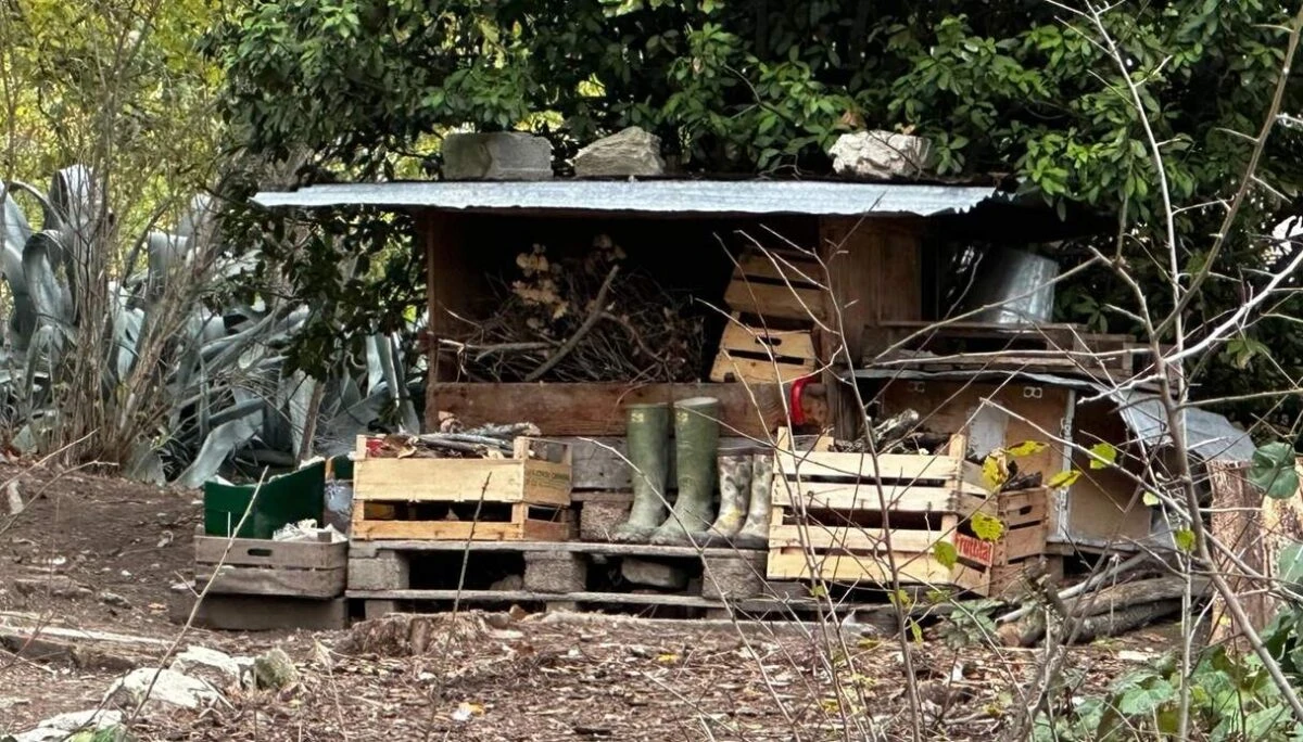 Famiglia nel bosco di Palmoli