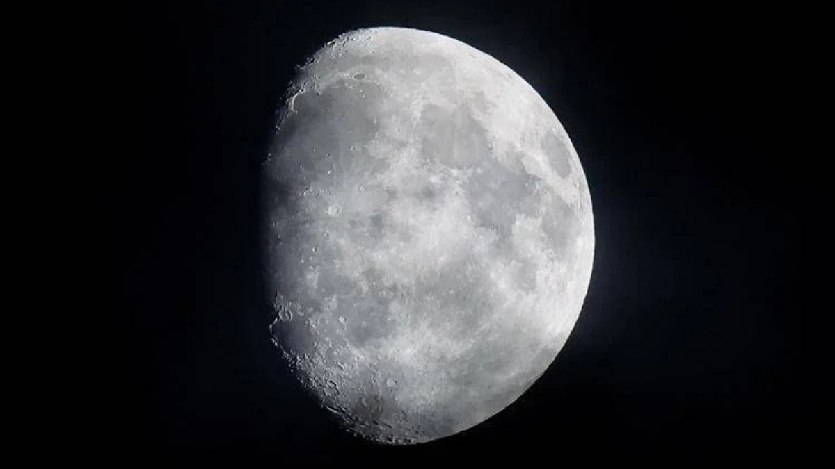 Arriva la “luna del castoro”: cosa succede stanotte, spettacolo incredibile Arriva la “luna del castoro”: cosa succede stanotte, spettacolo incredibile