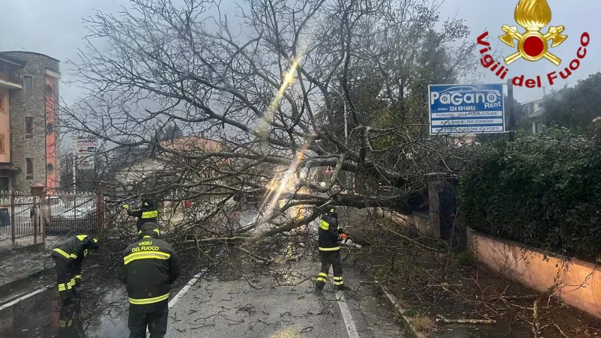 Maltempo infernale in Italia, alberi crollati e frane: oltre 50 interventi dei vigili del fuoco