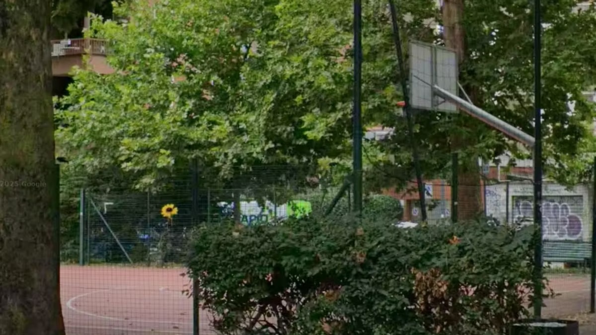 Orrore in Italia: mamma lascia un fiore per il figlio morto a 15 anni. Glielo strappano, biglietto shock