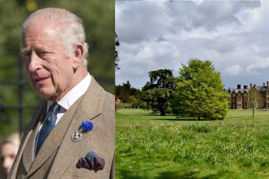 re carlo parco animali muoiono