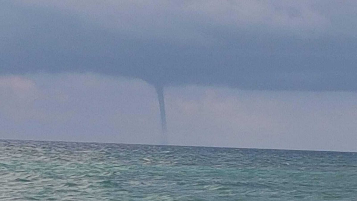 Tromba marina devastante in Italia, alberi abbattuti e cittadini in fuga: “Mai visto niente del genere”