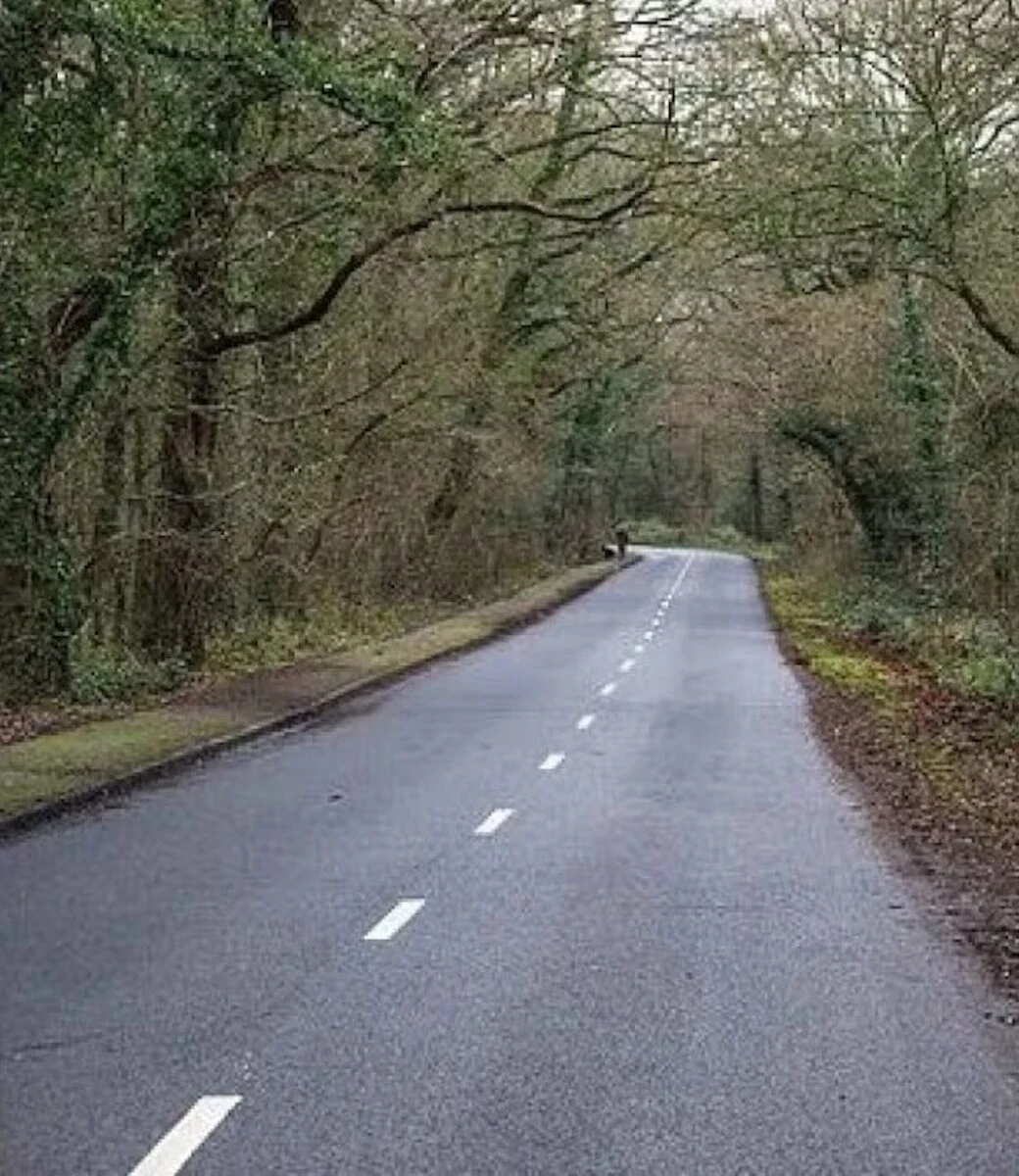 Fiori e messaggi lasciati lungo Holland Road in ricordo delle giovani vittime