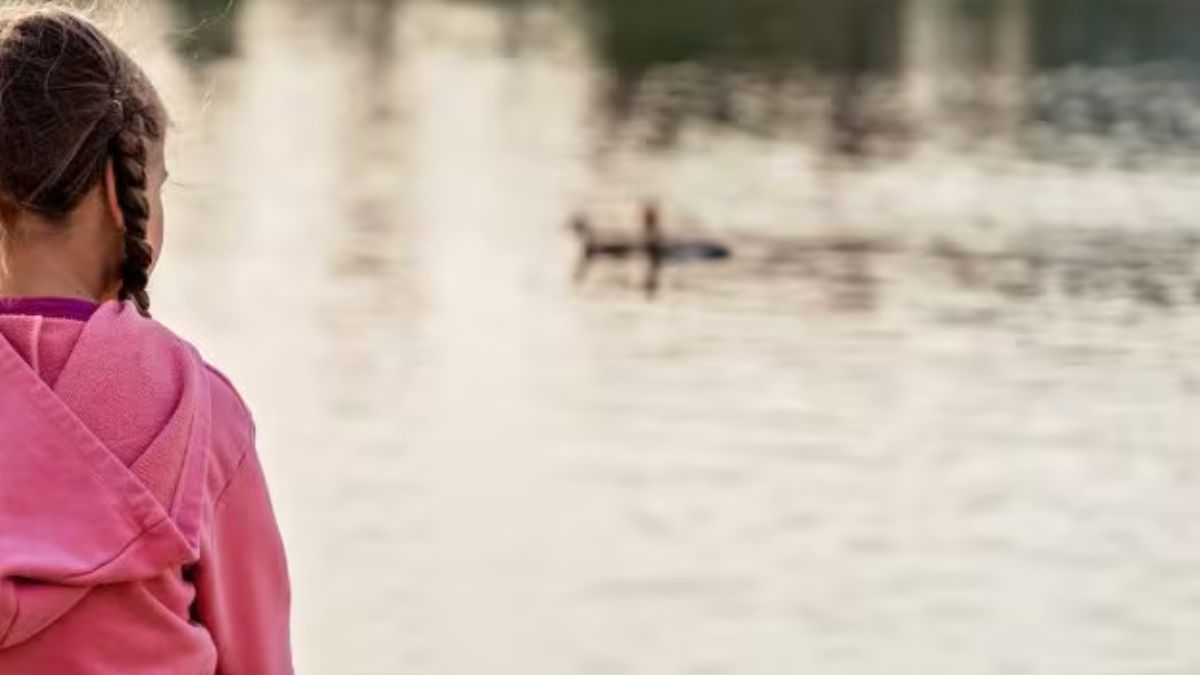 orrore il giorno di natale bambina di 2 anni cade nel lago morte atroce il nostro angelo da Thesocialpost.it orrore il giorno di natale bambina di 2 anni cade nel lago morte atroce il nostro angelo