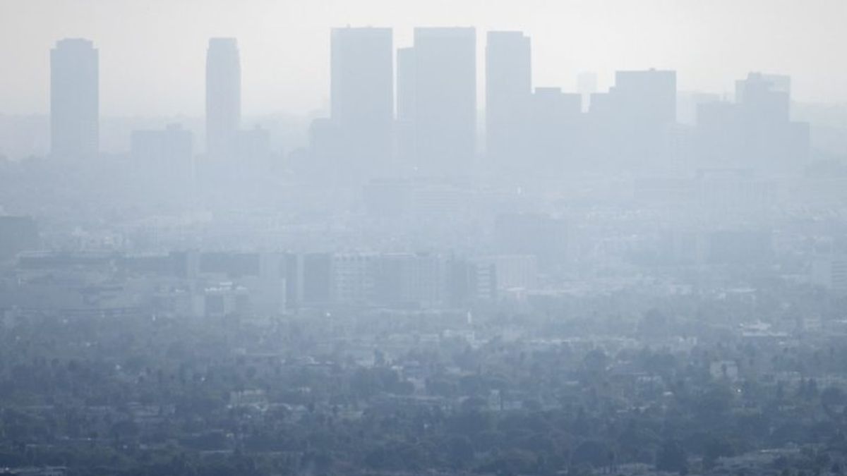 aria irrespirabile non uscite di casa scatta l8217allarme tante famiglie bloccate a natale da Thesocialpost.it aria irrespirabile non uscite di casa scatta l8217allarme tante famiglie bloccate a natale