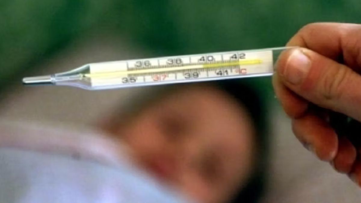 boom di casi di influenza cosa sappiamo del super ceppo i sintomi 232 allarme da Thesocialpost.it boom di casi di influenza cosa sappiamo del super ceppo i sintomi 232 allarme