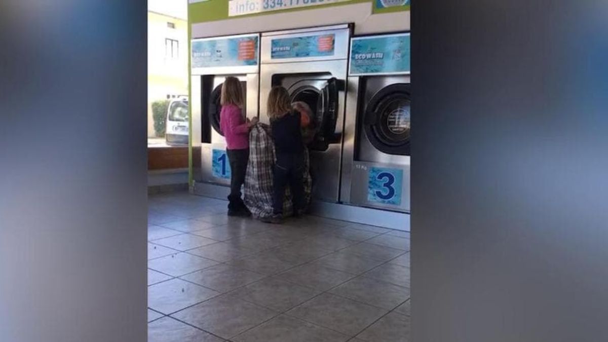 famiglia nel bosco i gemelli in lavanderia sono integrati sanno anche usare la lavatrice da Thesocialpost.it famiglia nel bosco i gemelli in lavanderia sono integrati sanno anche usare la lavatrice