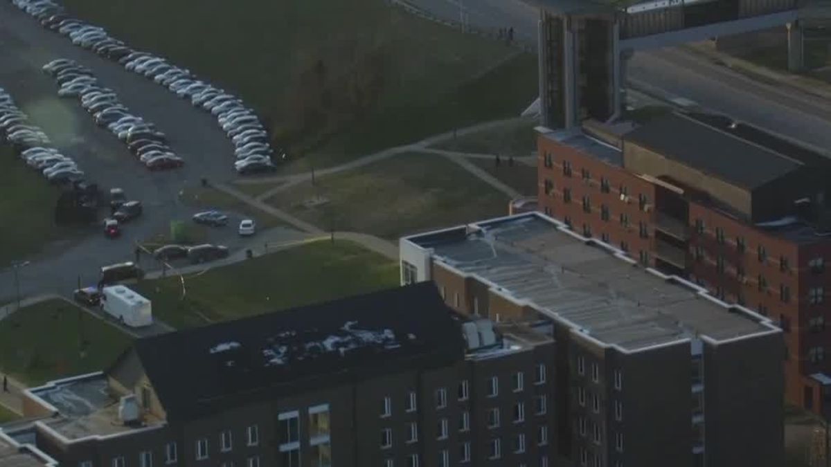 “Almeno un morto, ci sono feriti”. Sparatoria improvvisa, è tragedia: l’orrore in un istante “Almeno un morto, ci sono feriti”. Sparatoria improvvisa, è tragedia: l’orrore in un istante