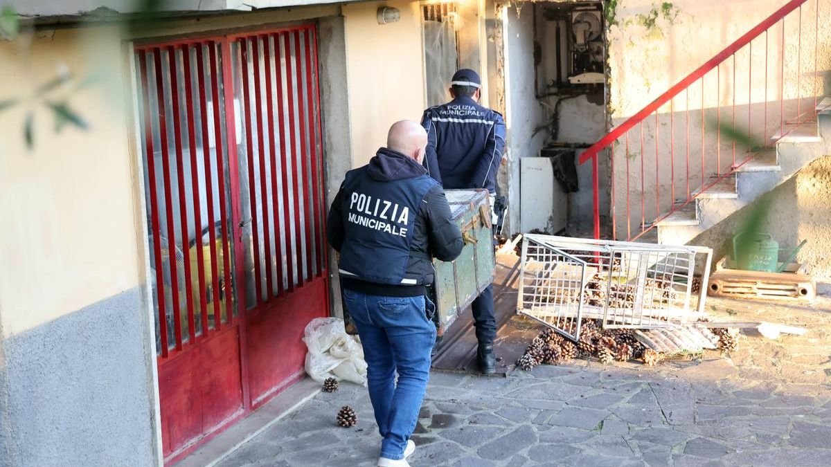 lorenzo morto e nascosto nel baule indagati madre e fratelli per omissione di soccorso da Thesocialpost.it lorenzo morto e nascosto nel baule indagati madre e fratelli per omissione di soccorso
