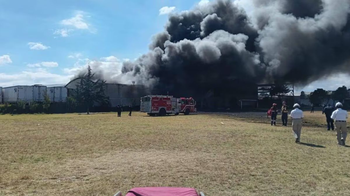 tragedia nei cieli aereo precipita 232 strage anche bambini da Thesocialpost.it tragedia nei cieli aereo precipita 232 strage anche bambini