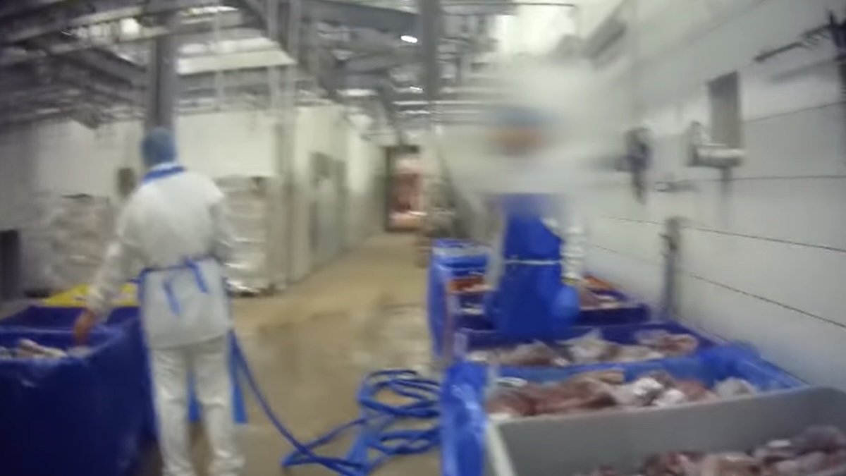 Scandalo Bervini, scatta l’allerta: Simmenthal e Metro chiudono i rapporti