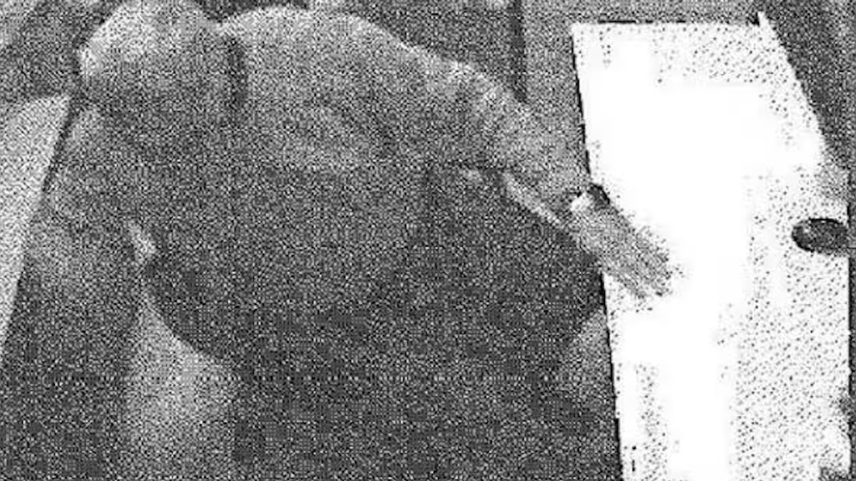 obitorio di palermo richieste folli per restituire le salme arresti per corruzione da Thesocialpost.it obitorio di palermo richieste folli per restituire le salme arresti per corruzione