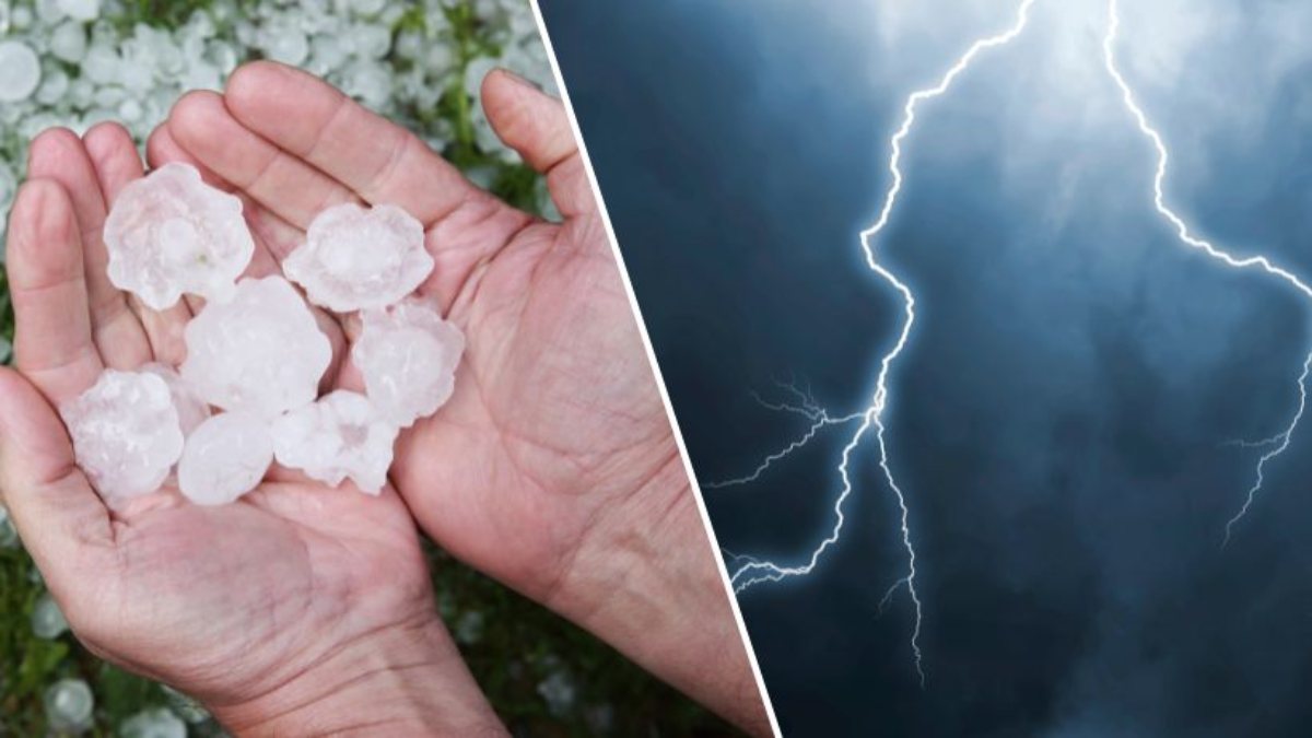 Maltempo, allerta meteo per domani 2 dicembre: le regioni a rischio Maltempo, allerta meteo per domani 2 dicembre: le regioni a rischio