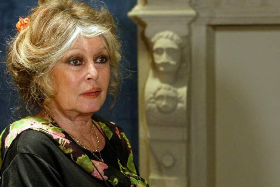 brigitte bardot