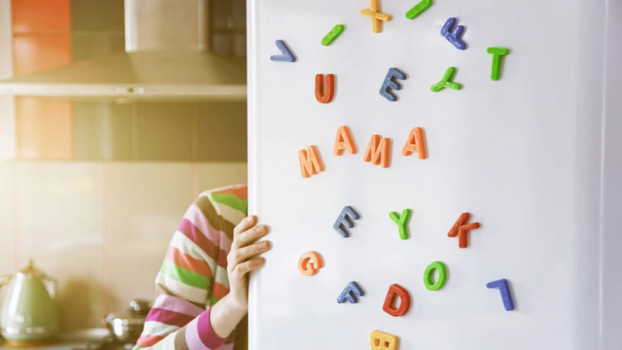 Calamite sul frigorifero, perché andrebbero tolte: il motivo lascia senza parole Calamite sul frigorifero, perché andrebbero tolte: il motivo lascia senza parole