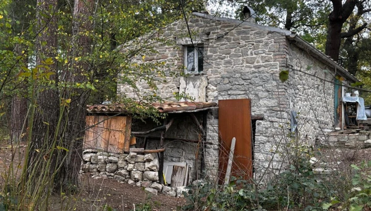 Famiglia nel bosco, casolare