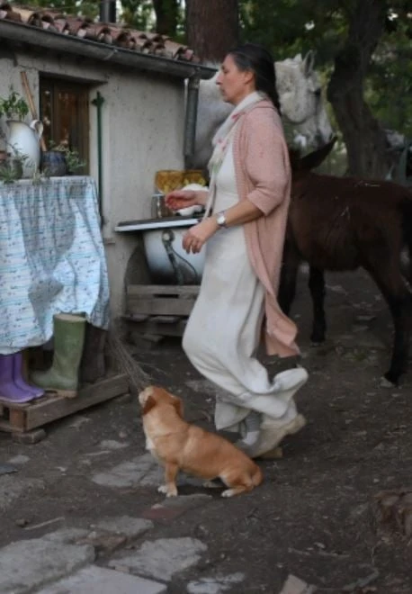 Famiglia nel bosco, la decisione ‘estrema’ dei genitori: “Documenti in arrivo”. Cosa succede