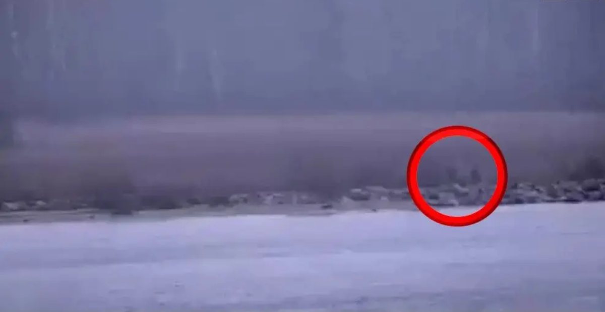 soldati russi sconfinano in estonia tensione altissima sul confine nato da Thesocialpost.it soldati russi sconfinano in estonia tensione altissima sul confine nato