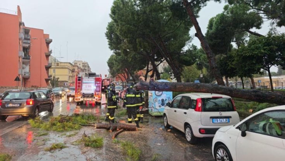 Maltempo Italia, è bufera: costretti a chiudere le scuole. Cosa succede