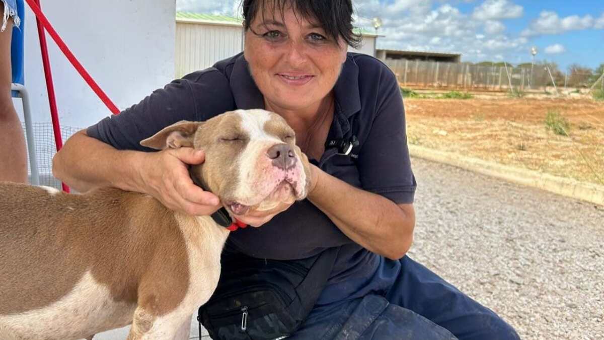 In motorino contro l’auto. Tragico schianto, Catia muore a 49 anni: un’intera comunità in lutto