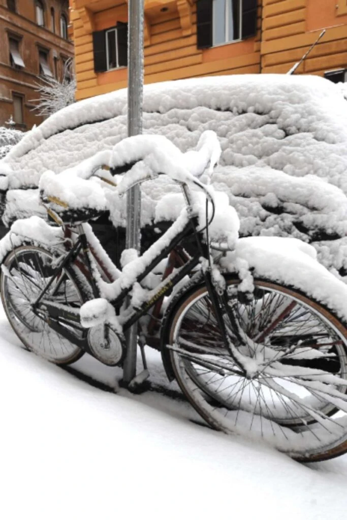 Paesaggio natalizio innevato con alberi e case