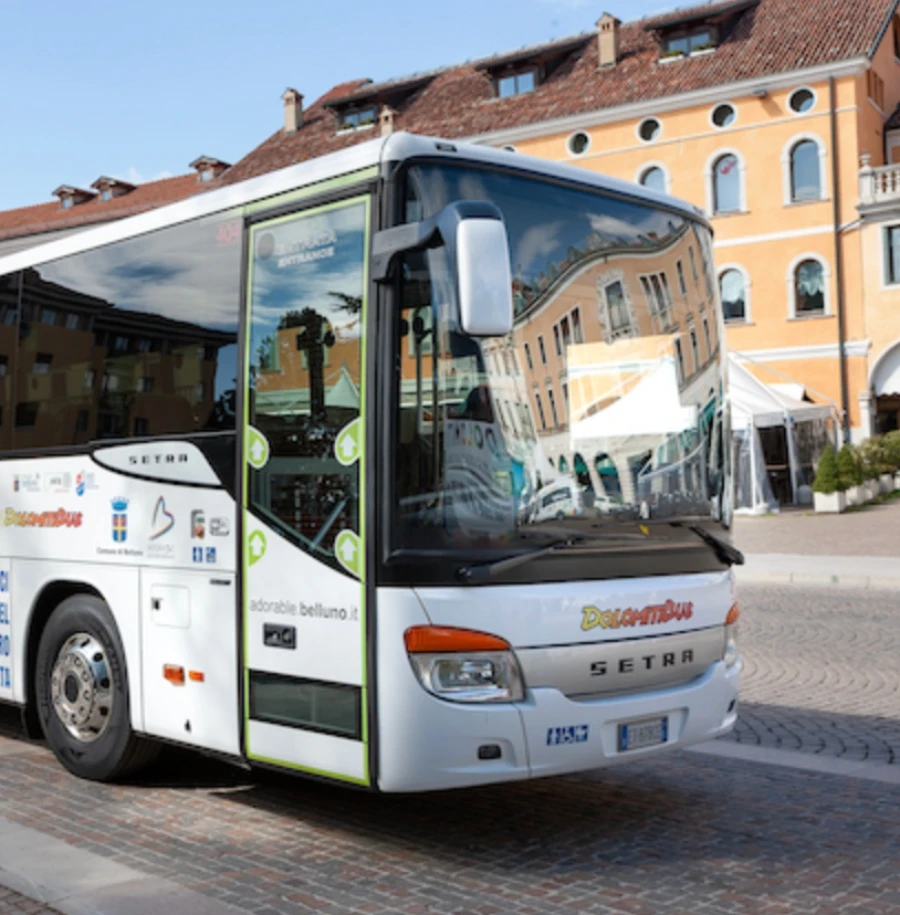 Fermata e tratta della linea Calalzo-Cortina, immagine collegata al caso