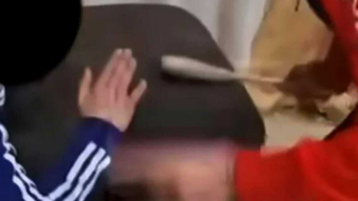 picchia violentemente il figlio con il cucchiaio non 232 gestibile il giudice non lo condanna da Thesocialpost.it picchia violentemente il figlio con il cucchiaio non 232 gestibile il giudice non lo condanna