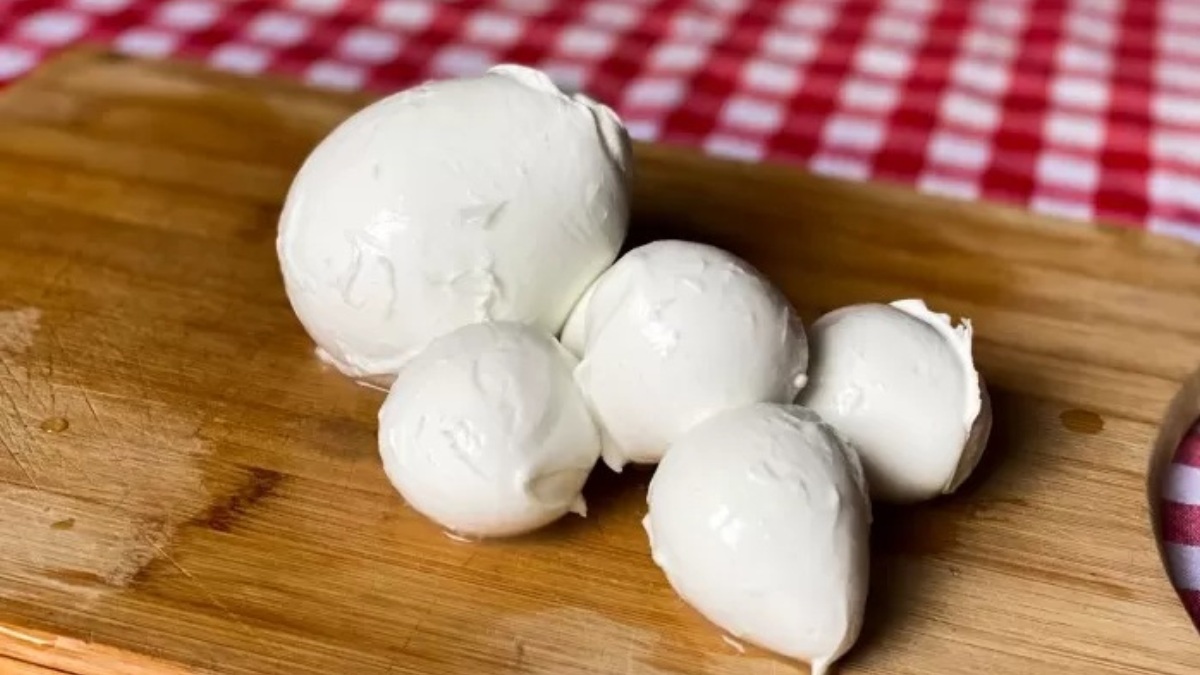 “Rischio chimico”. Mozzarella ritirata dal mercato: lotto, marchio e formati interessati “Rischio chimico”. Mozzarella ritirata dal mercato: lotto, marchio e formati interessati