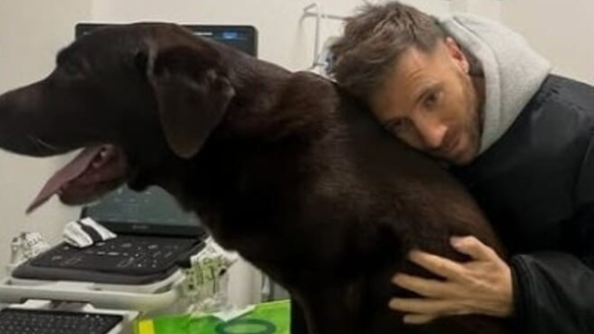 sta male nicol242 de vitiis la brutta notizia 232 appena arrivata da Thesocialpost.it sta male nicol242 de vitiis la brutta notizia 232 appena arrivata