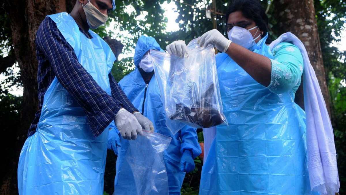 Virus Nipah, l’Ecdc rassicura: rischio molto basso per l’Europa. Allerta in India Virus Nipah, l’Ecdc rassicura: rischio molto basso per l’Europa. Allerta in India