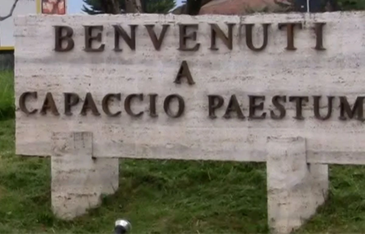 Coccodrillo Italia