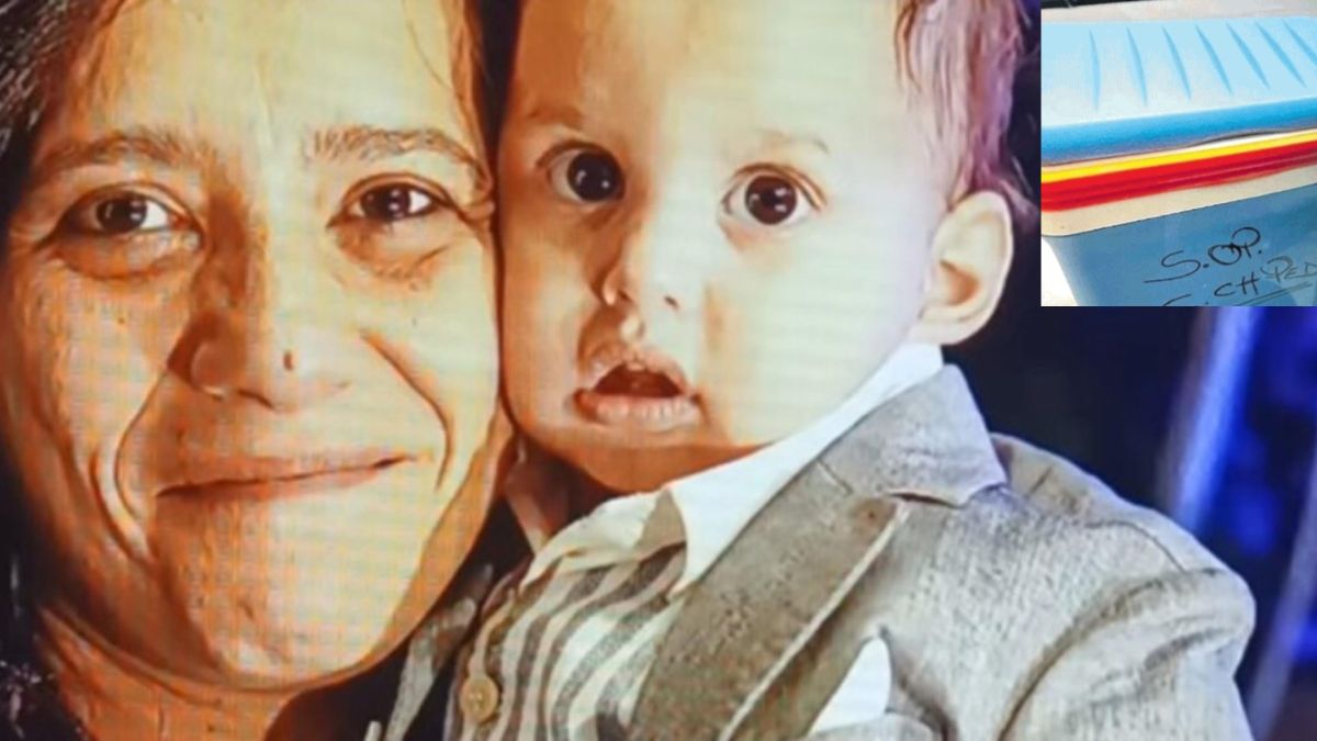 ecco il contenitore in cui 232 finito il cuore per domenico spuntano le immagini da Thesocialpost.it ecco il contenitore in cui 232 finito il cuore per domenico spuntano le immagini