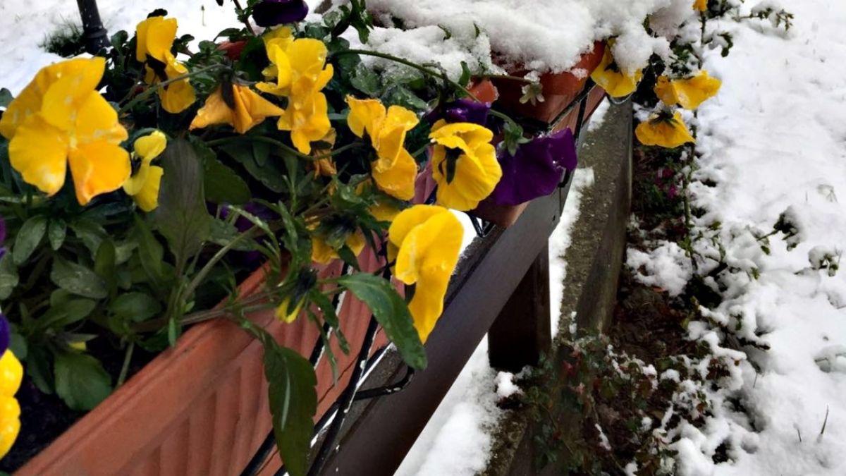 Scenario meteo in Italia con variazioni tra mite e freddo