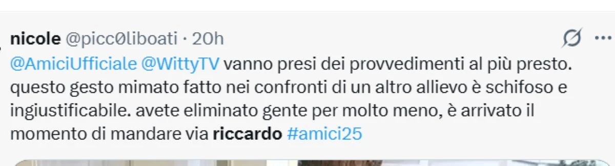 Amici 25, richieste social di squalifica per Riccardo