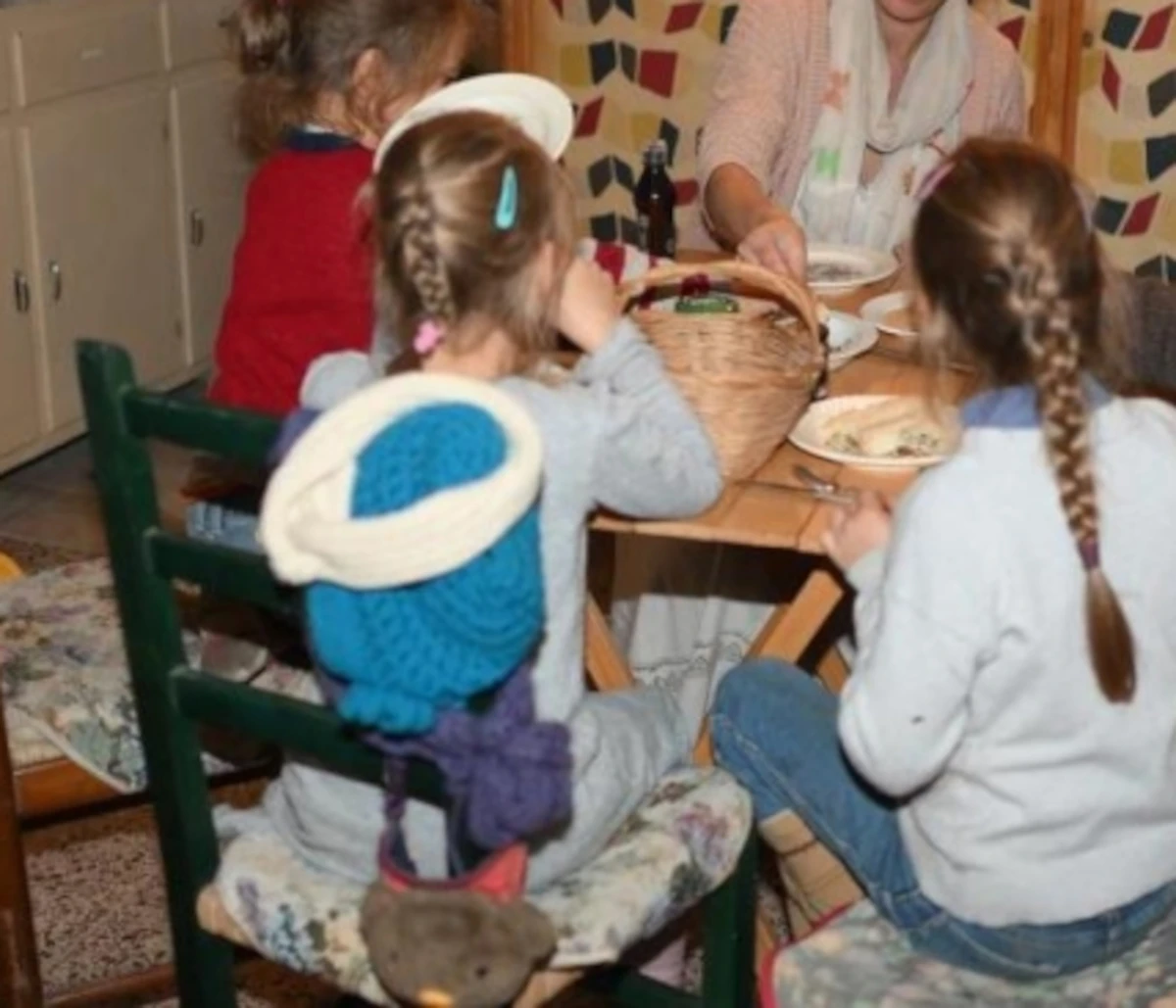 Bambini, la vicenda della famiglia nel bosco e le perizie