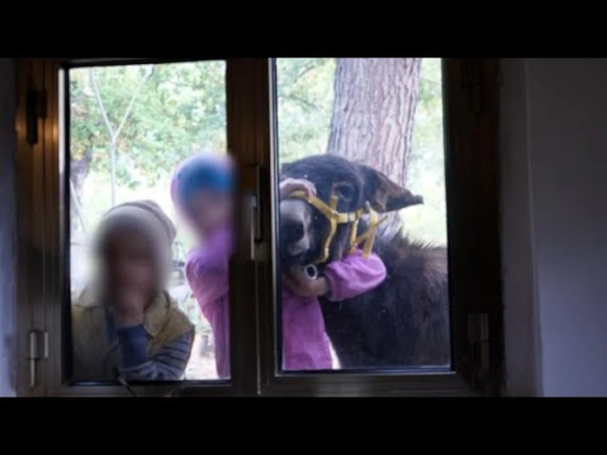 I tre bambini al centro del caso della famiglia del bosco