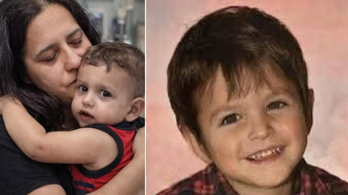 Domenico, viene fuori la verità sul donatore: la storia straziante del piccolo Moritz Gerstl