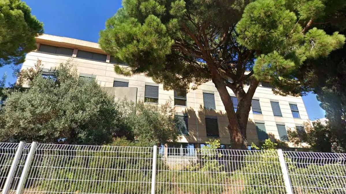 Shock a scuola, 14enne accoltella professoressa: arrestato