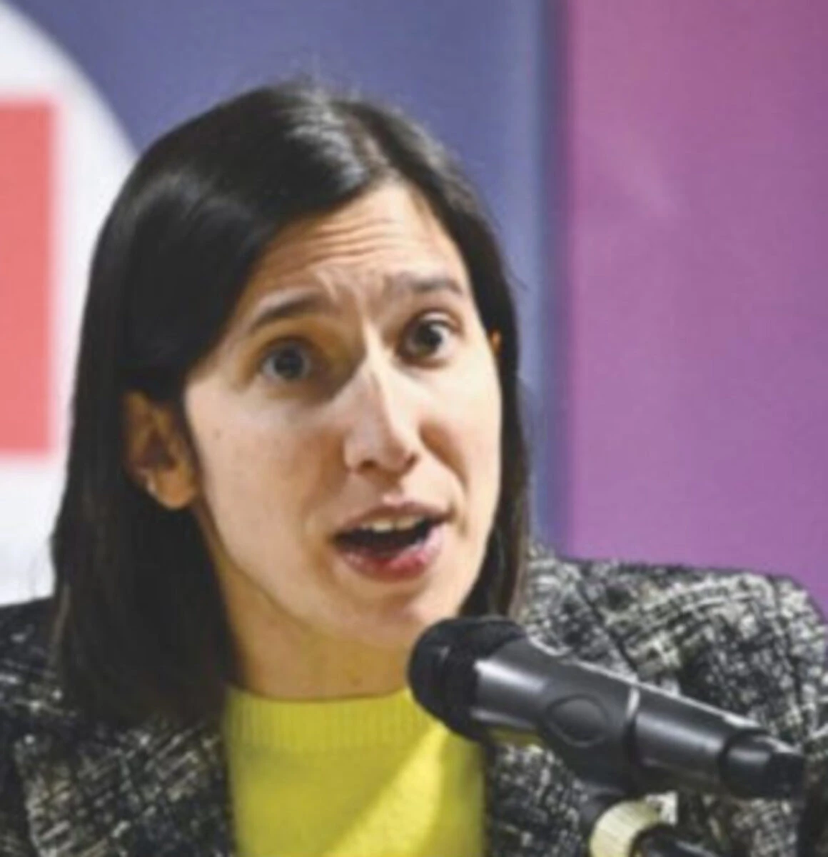 Elly Schlein, segretaria del Partito Democratico