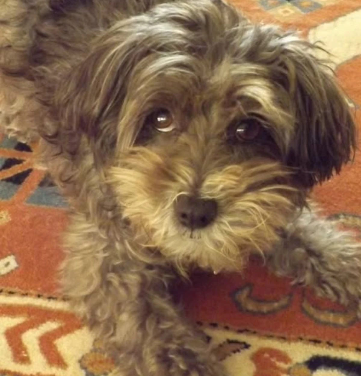 Immagine condivisa da Romina Power nel ricordo della sua compagna