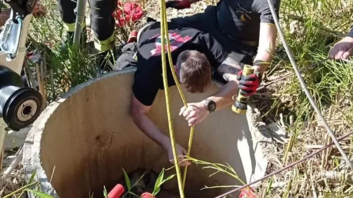 roma donna cade in un pozzo salvata dopo un8217ora da Thesocialpost.it roma donna cade in un pozzo salvata dopo un8217ora