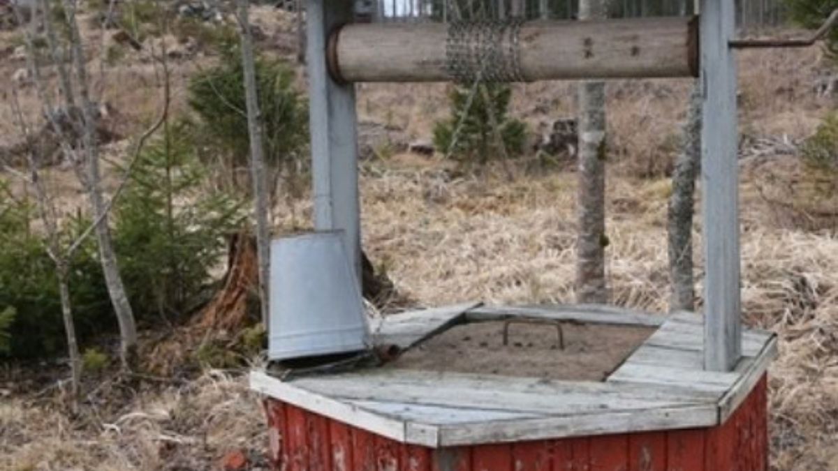 il corpo l236 nel pozzo orrore in italia era scomparsa da giorni scoperta agghiacciante da Thesocialpost.it il corpo l236 nel pozzo orrore in italia era scomparsa da giorni scoperta agghiacciante