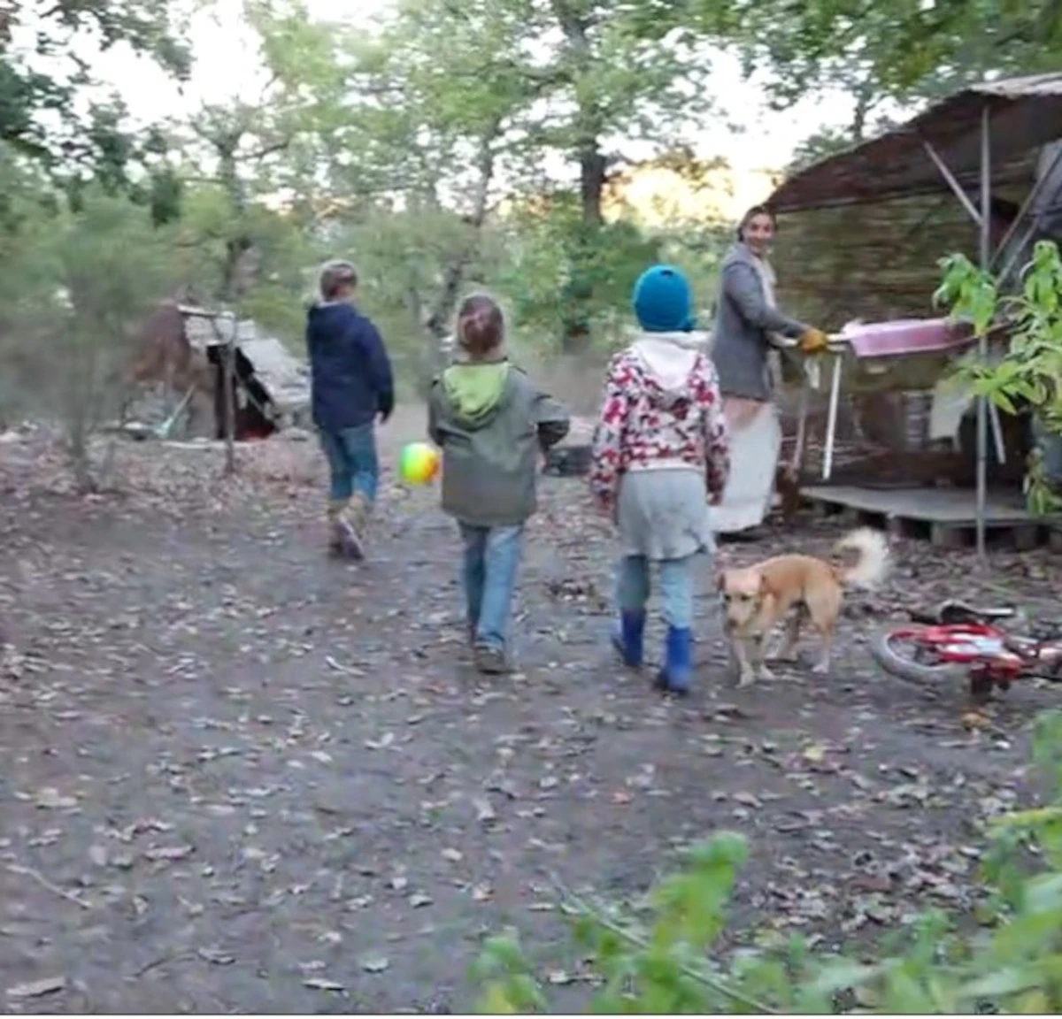 Famiglia nel bosco di Palmoli: immagine del caso al centro del dibattito