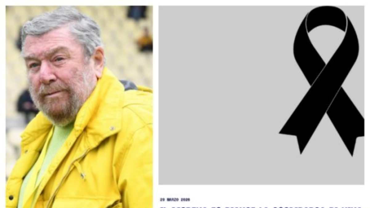 calcio italiano in lutto morta a 10 anni la nipote di un vero big da Thesocialpost.it calcio italiano in lutto morta a 10 anni la nipote di un vero big