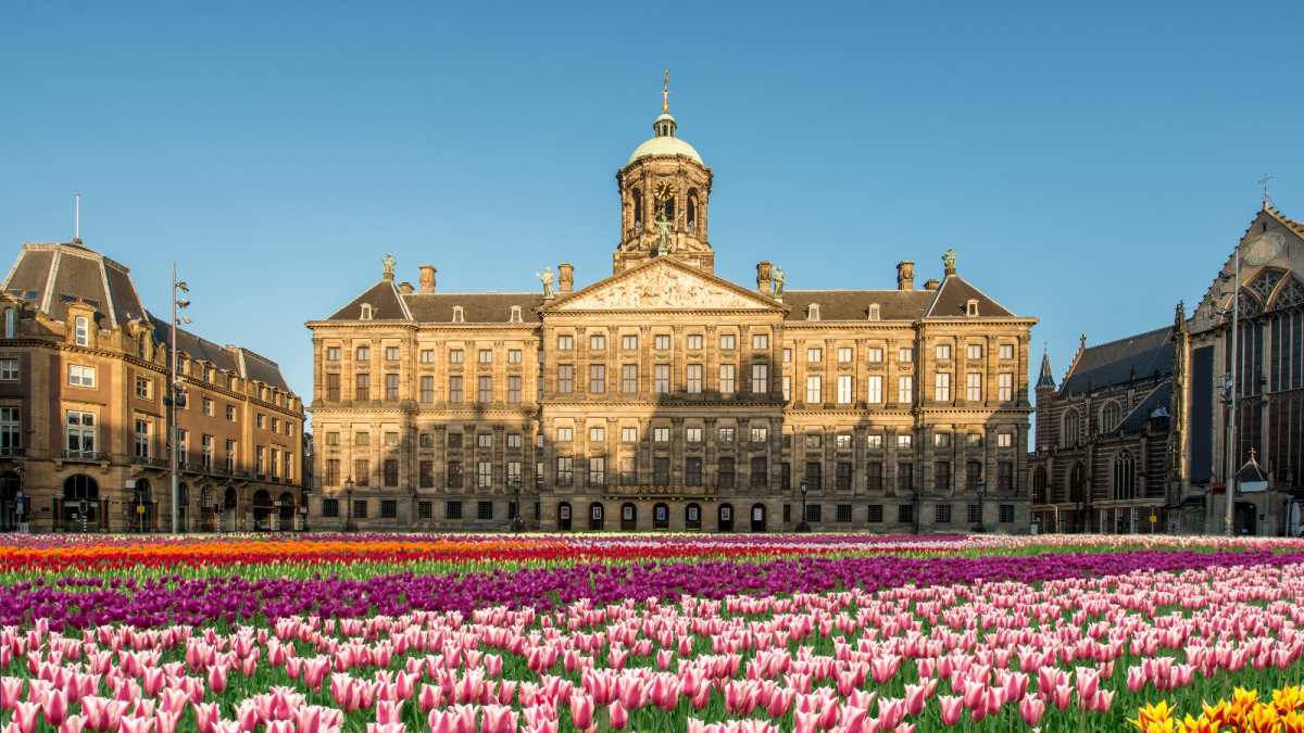 Olanda, il re pilota in incognito: il “secondo lavoro” di Guglielmo Alessandro Olanda, il re pilota in incognito: il “secondo lavoro” di Guglielmo Alessandro