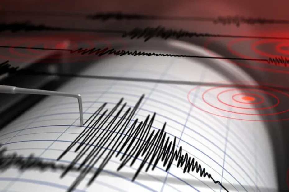 Sismografo e tracciato della scossa di terremoto