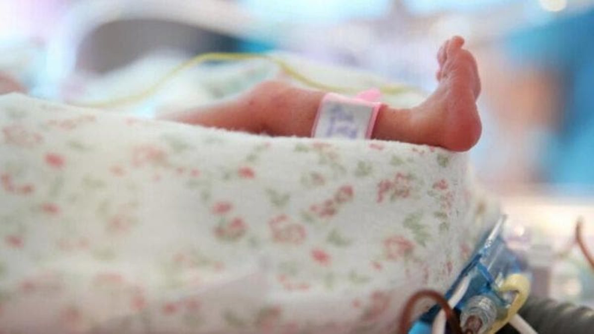 neonato morto per maltrattamenti la notizia sui genitori 232 appena arrivata cosa succede da Thesocialpost.it neonato morto per maltrattamenti la notizia sui genitori 232 appena arrivata cosa succede